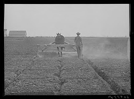 Irrigated cantaloupe field being marked for planting — a Columbia Basin melon crop grown alongside watermelons