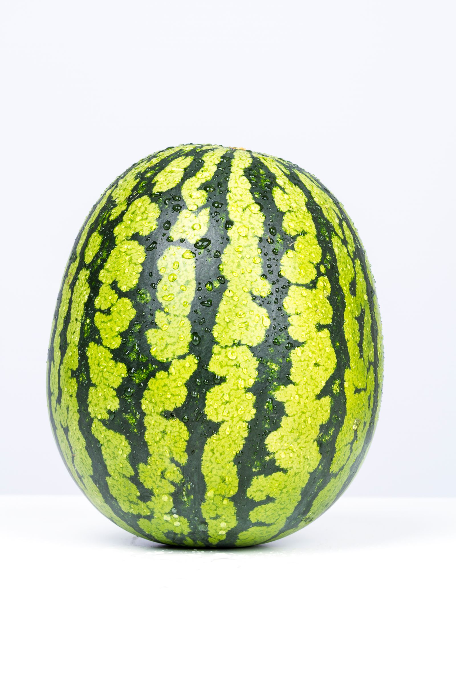Whole striped watermelon with fresh dew on the rind